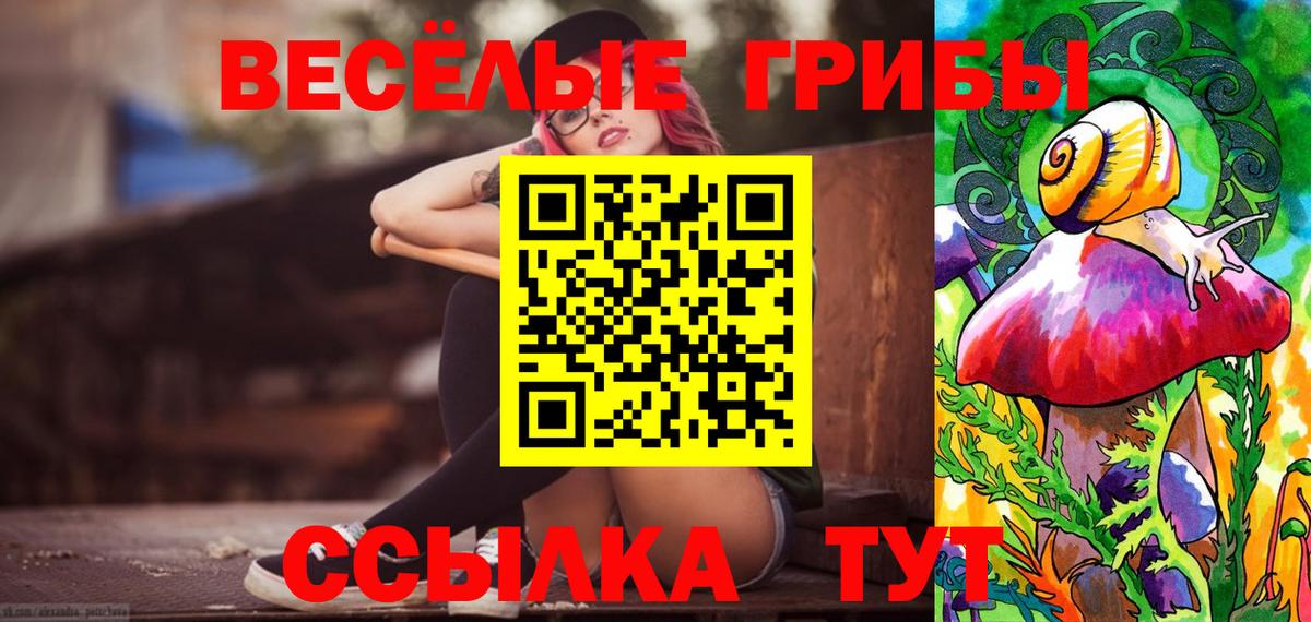 Галлюциногенные грибы прущие грибы Новоалександровск