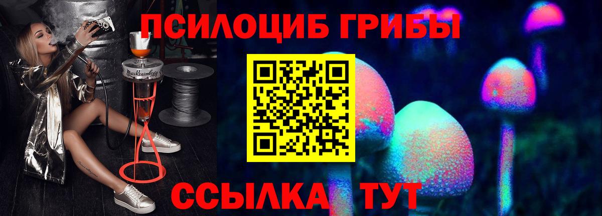 Новоалександровск  Псилоцибиновые грибы Cubensis  купить наркоту  Вход с VPN 